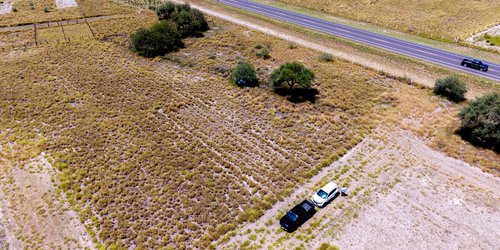 Destinan área verde para albergue de perros y gatos rescatados