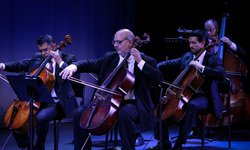 El Ceart celebra 17 años con concierto gratuito de la Camerata