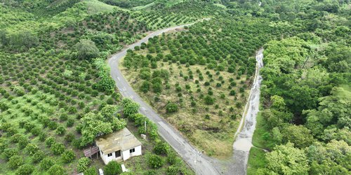 Gallardo Cardona inicia obras viales en Tamazunchale y San Martín Chalchicuautla