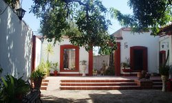 Museo Regional del Río Verde presenta exposición infantil