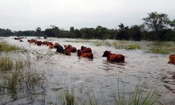 Gobierno Estatal refrenda apoyo al campo potosino tras lluvias