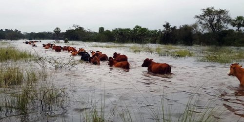 Gobierno Estatal refrenda apoyo al campo potosino tras lluvias