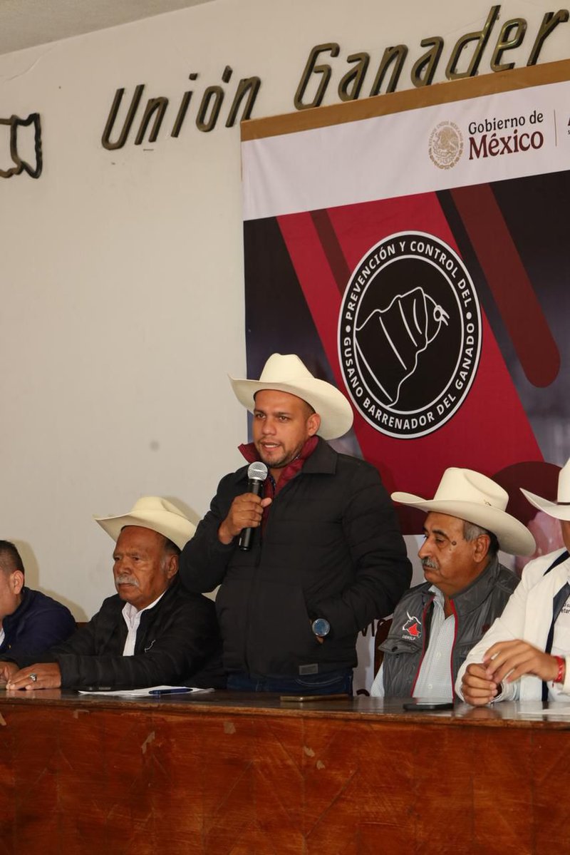 WhatsApp Image 2025-11-03 at 12.41.57 PM.jpeg