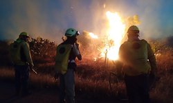 Coordina Gobierno Estatal control y liquidación de incendio forestal en Villa de Pozos