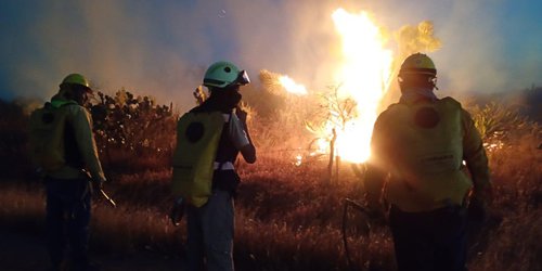 Coordina Gobierno Estatal control y liquidación de incendio forestal en Villa de Pozos