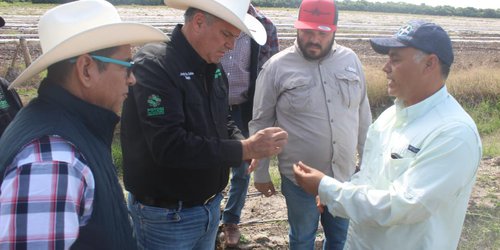 Realizan talleres de prevención de la violencia en el CBTA 187, en San Ciro de Acosta