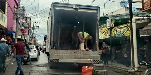 Refuerzan vigilancia sanitaria en establecimientos cárnicos de la región media por temporada decembrina