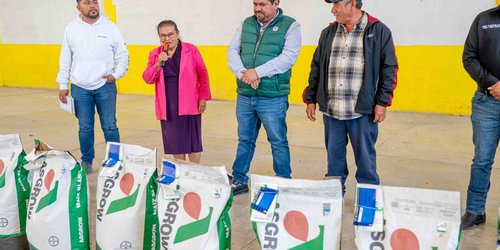 Gobierno Municipal entrega semilla de maíz elotero subsidiada a productores de CDFDZ