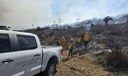 Gobierno Estatal mantiene operativo intensivo contra incendios forestales