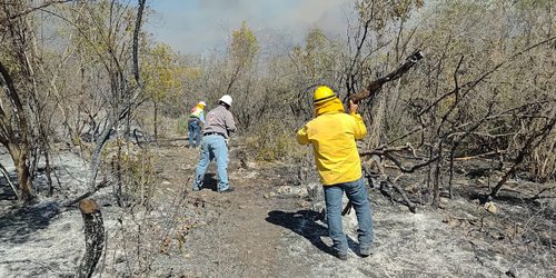 Comité de manejo del fuego llama a la población a evitar quemas