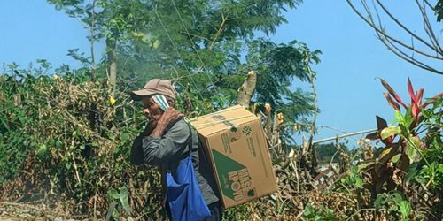 Apoyos alimentarios llegan directamente a más familias potosinas