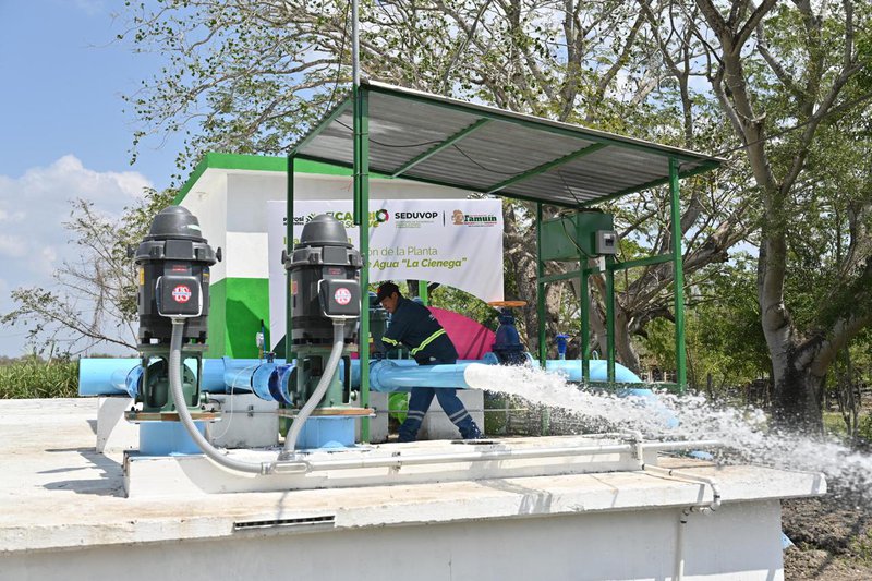 WhatsApp Image 2026-03-04 at 3.12.20 PM.jpeg