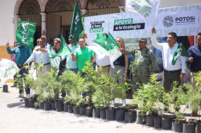 agenda_verde_reforestacion_masiva.jpeg