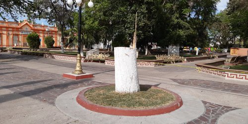 Retiran árboles peligrosos en plazas y jardines de CDFDZ