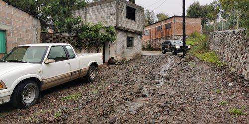 Lluvias y vientos derriban tres árboles en Atotonilco