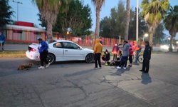 Joven con su perrito atropellados en el bulevar Ferrocarrilero