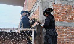 Bomberos de Ciudad Fernández rescatan a gatito herido en El Refugio
