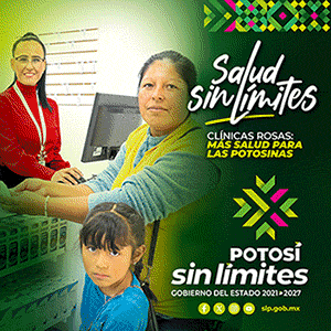 https://portal.slp.gob.mx/