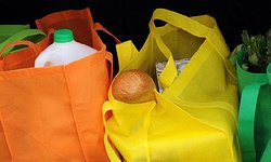 Invita Ecología a participar en campaña de canje de bolsas