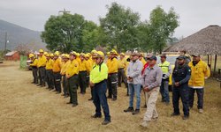 Controlados y liquidados los incendios forestales en el Estado