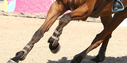 Jinete "tomado" murió al caer de su caballo