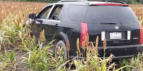 Localizan un hombre muerto en el interior de una camioneta