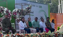 Arranca el Estado estrategia contra el dengue