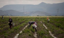 Proponen crear Ley de Fomento al Desarrollo Rural Sustentable del Estado