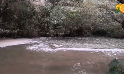 Hay contaminación de ríos por todos rumbos: Autoridades brillan por su ausencia