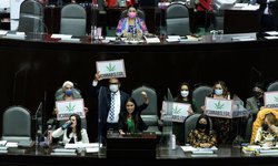 Diputados avalan en lo general el uso lúdico de marihuana