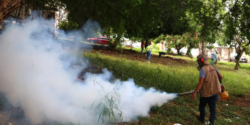 Por lluvias aumentan los casos de dengue en zona sur de Tamaulipas