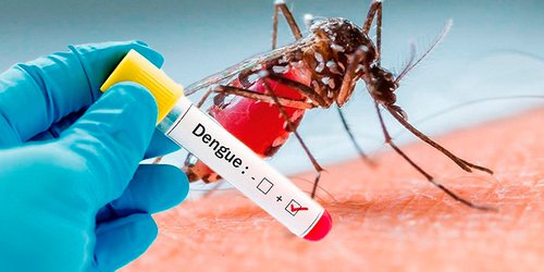 Si hay dengue hemorrágico en Rioverde: ISSSTE atendió dos casos
