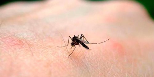 Reportan 25 casos de dengue en 3 municipios de la región