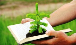 Propone Morena incluir los derechos de la naturaleza en la Constitución Local