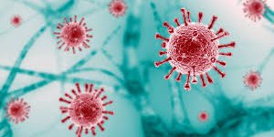 Seis nuevos casos por COVID- 19 en el estado