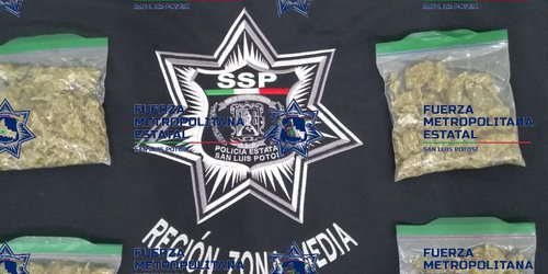 Sujeto detenido por posesión de marihuana