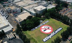 Philip Morris México dejará de producir 35 millones de cigarros