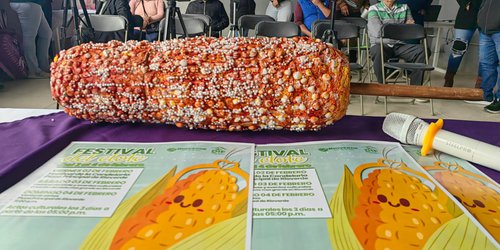 Elaborarán el elote más grande de México, en Rioverde