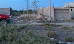Anciano murió por ataque de abejas en Los Llanitos