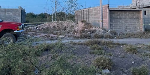 Anciano murió por ataque de abejas en Los Llanitos