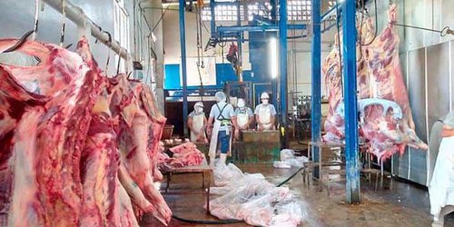 Tablajeros de CdFdz solicitan transporte refrigerado ante reubicación del rastro