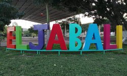 Invitan a torneo de basquetbol del Paisano en El Jabalí