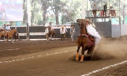 Escaramuza Puente de la Cruz de Rioverde en zona de calificación en el Nacionalito