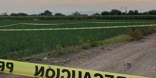 Asesinan a jornalero en milpa de La Reforma
