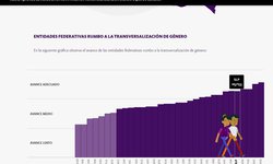 SLP avanza del vigésimo al quinto lugar en la transversalización de enfoque de género: IMES