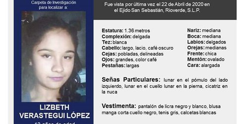 Desaparece menor de 13 años en el ejido San Sebastián