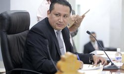 En maltrato animal además de cárcel, se debe reparara el daño: Dip. Fernando Gámez