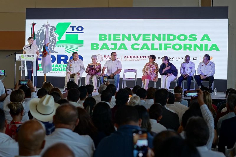 foro_internacional]_de_baja_california_mirioverde.jpeg
