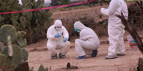Restos localizados en fosas, relacionados al crimen organizado