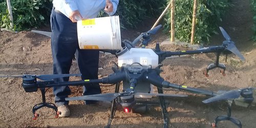 Fumigan con drone agrícola huertas del ejido El Refugio